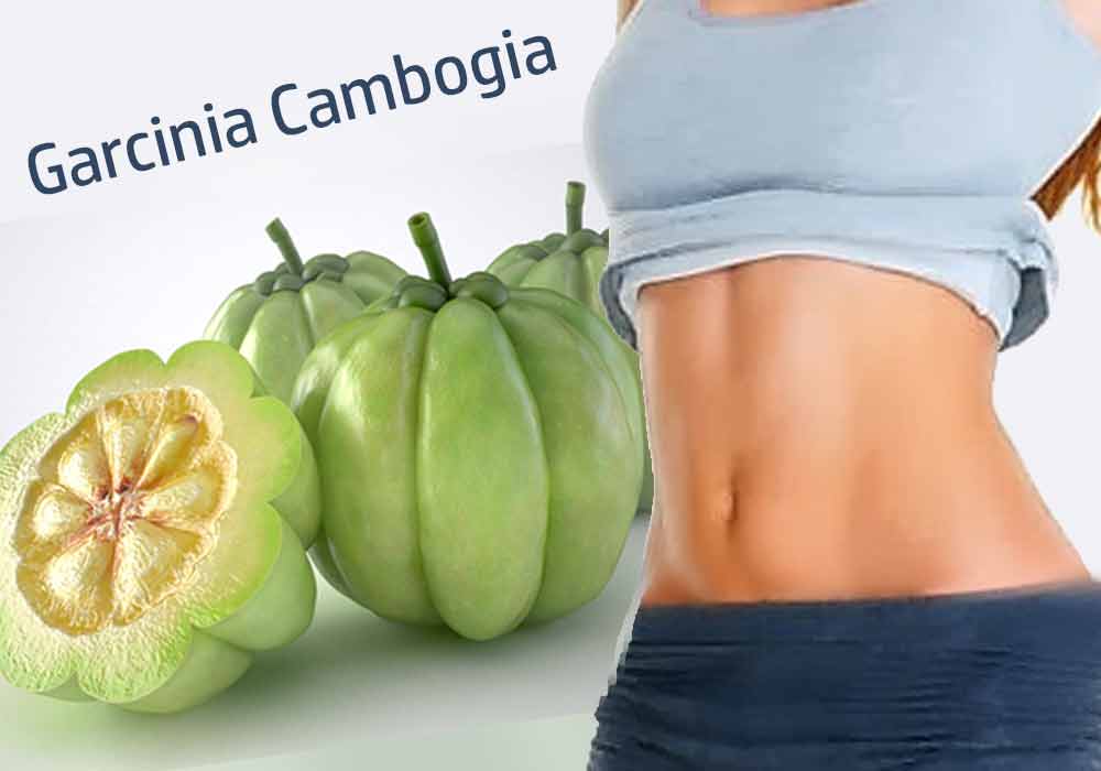 Garcinia Cambogia and Cholesterol Levels