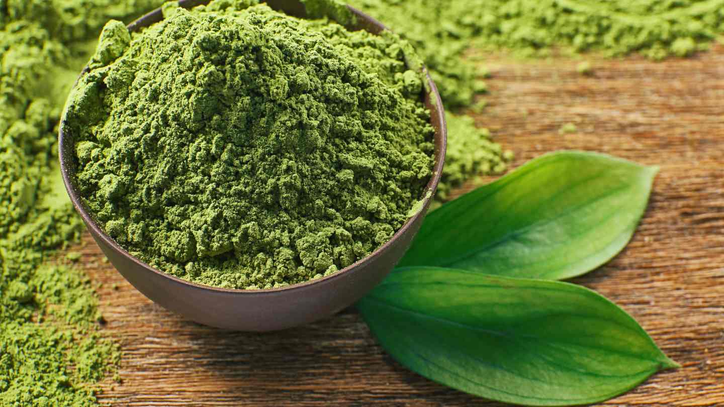 Green Tea Extract Guide
