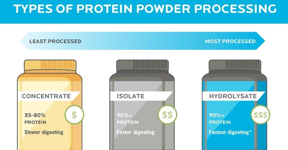 Types of Protein Processing