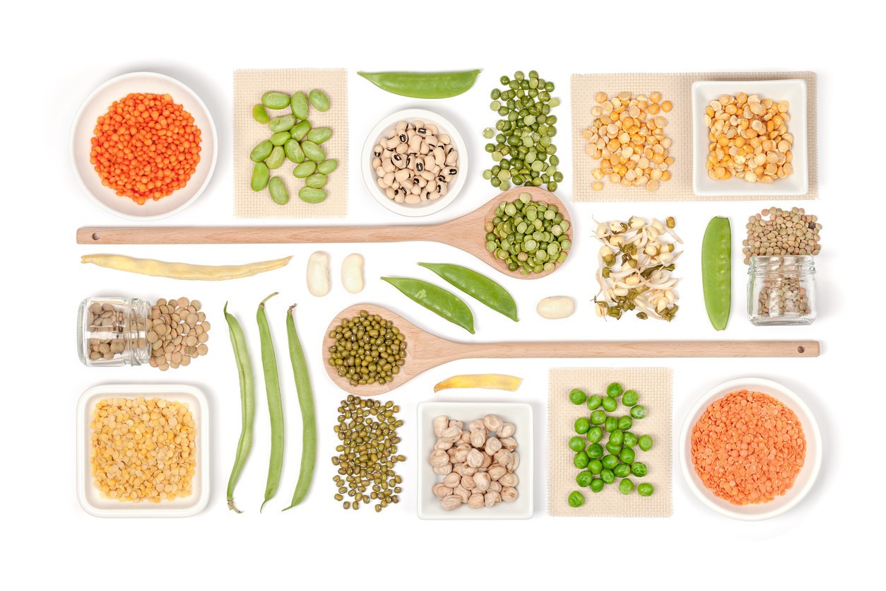The Rise of Plant-Based Protein